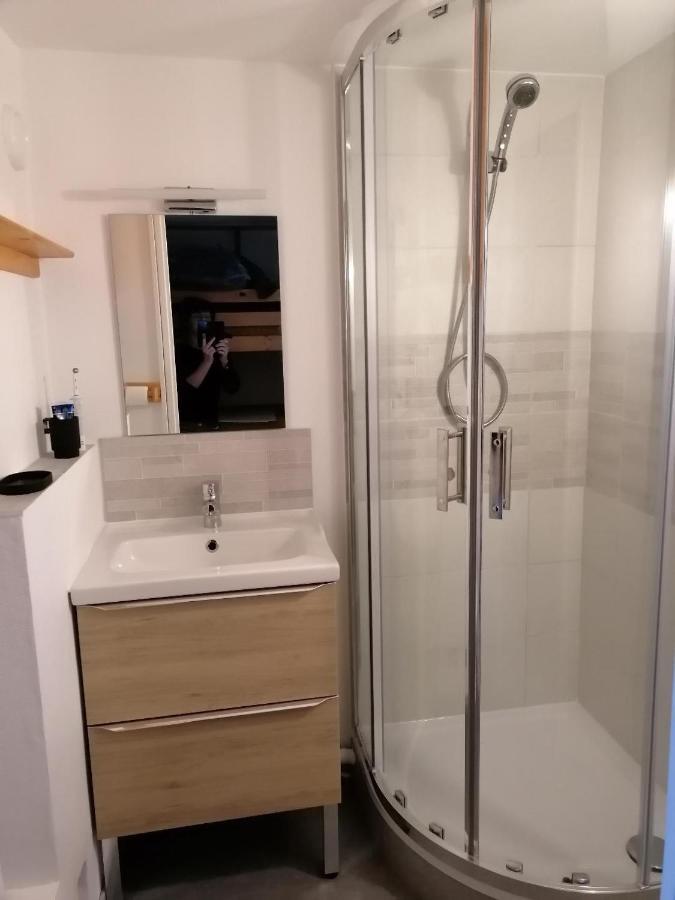 Studio Montagne A La Pierre St Martin Arette Zewnętrze zdjęcie