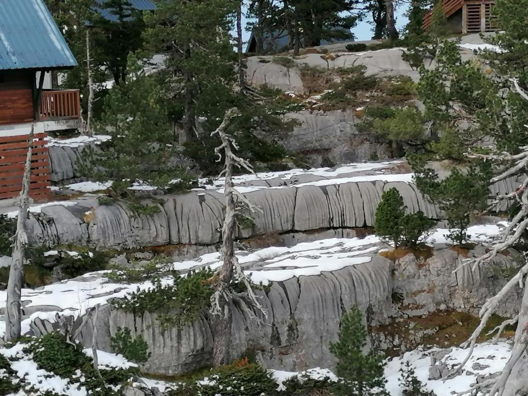 Studio Montagne A La Pierre St Martin Arette Zewnętrze zdjęcie